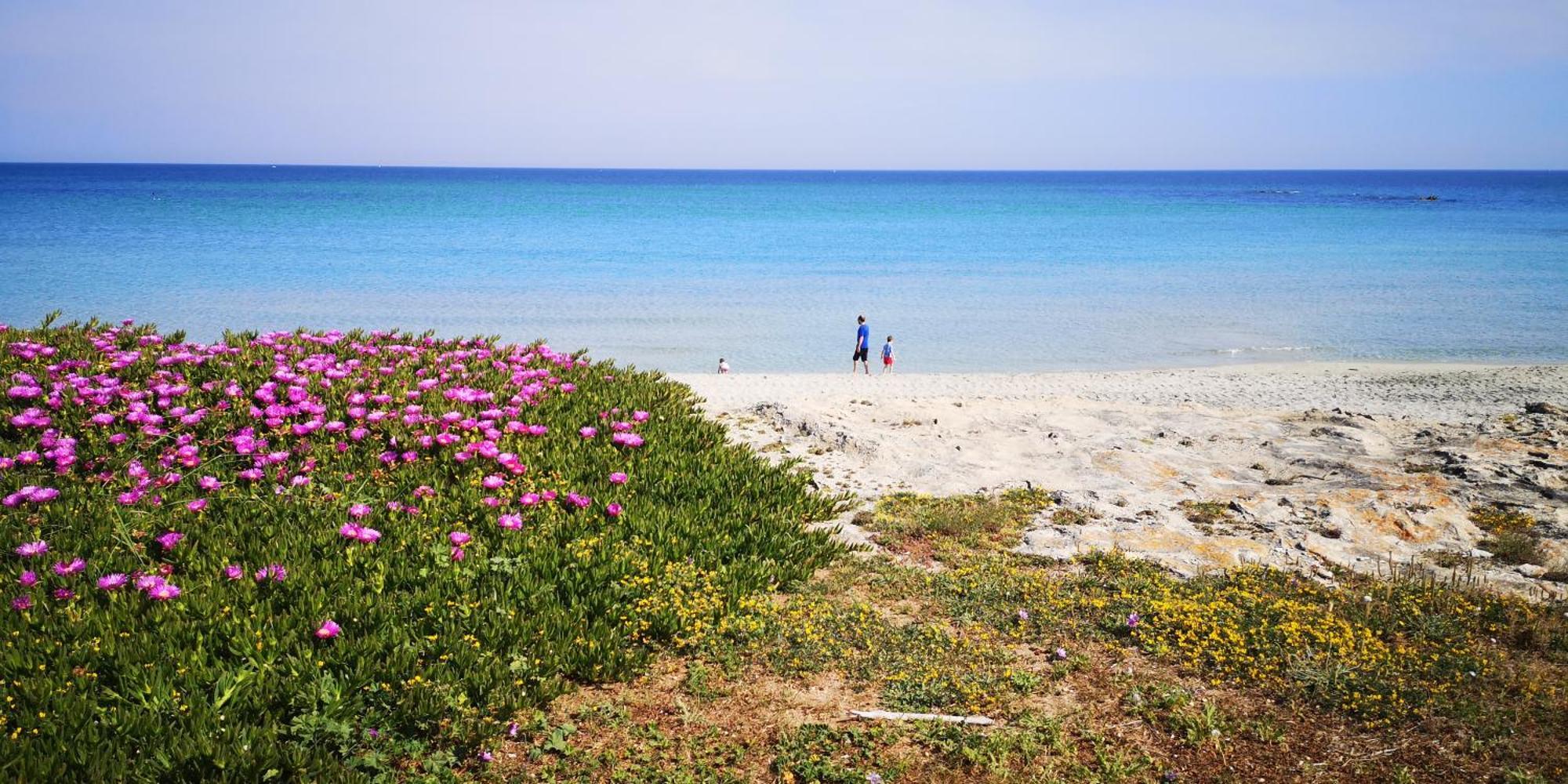 Villetta Cati - Casa Vacanze Con Giardino E Posto Auto A San Foca - Lecce - Salento エクステリア 写真